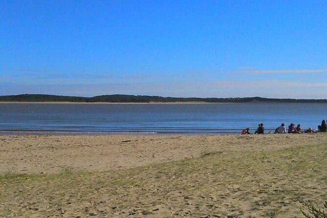 Taichi & Qigong Class in Naples, Florida - A Detailed Look at the Experience