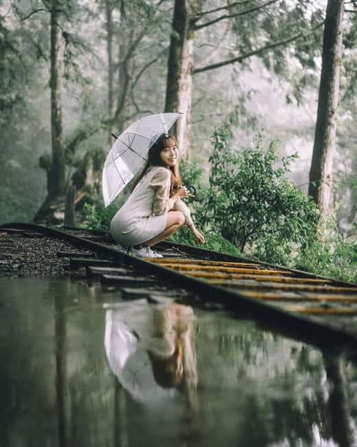 Taichung: Alishan National Scenic Area and Fenqihu Tour - The Practicalities: What’s Included and What to Keep in Mind