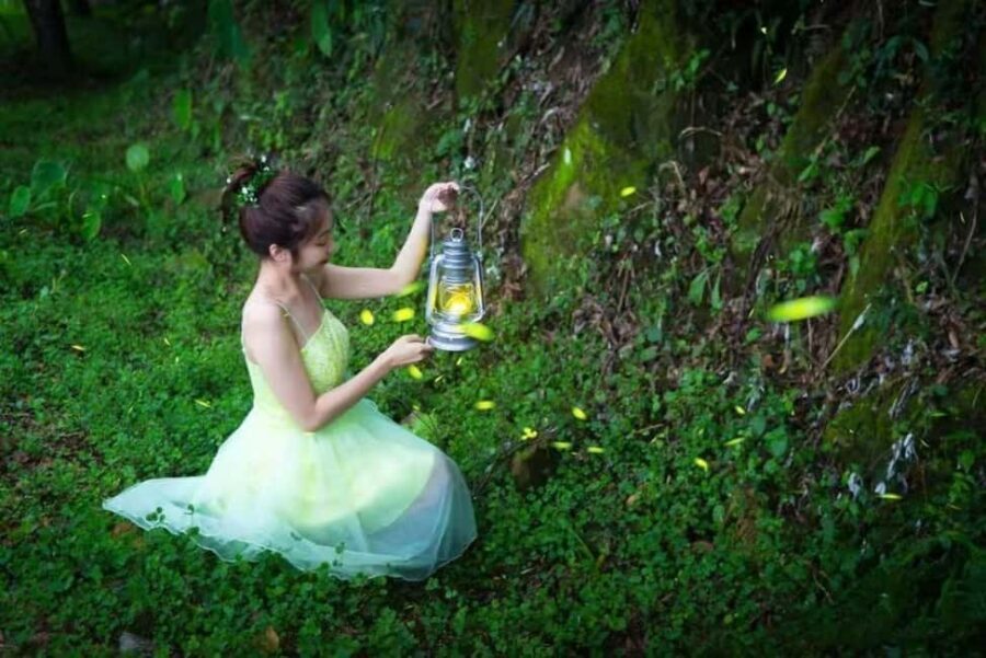 Taichung: Xitou Forest, Lukang, and Rainbow Village Tour - Stepping Back in Time at Lukang Old Street