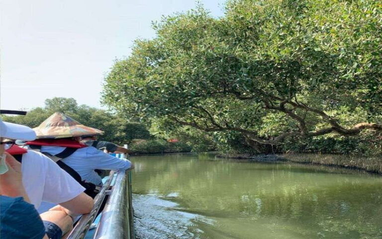 Tainan: Sicao Green Tunnel Scenic Boat Ride - How Does It Measure Up?