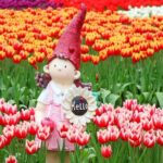 Taipei Cherry Blossom Day Tour to Yangmingshan and Tamsui - Exploring Taipeis Cherry Blossoms: An In-Depth Review