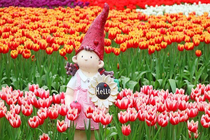 Taipei Cherry Blossom Day Tour to Yangmingshan and Tamsui - Exploring Taipeis Cherry Blossoms: An In-Depth Review