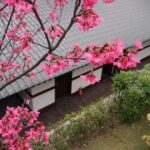 Taipei Day Tour including Taipei 101, Din Tai Fung and Hot Spring Experience - Who Should Book This Tour?