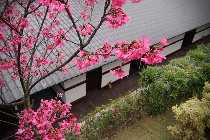 Taipei Day Tour including Taipei 101, Din Tai Fung and Hot Spring Experience - Who Should Book This Tour?