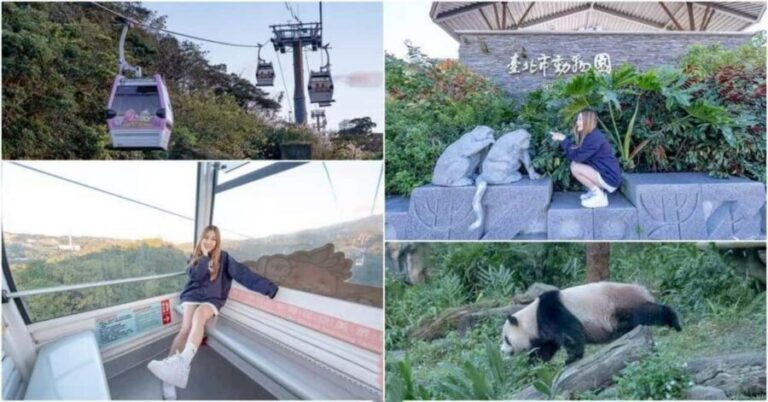 Taipei: Maokong Gondola, Zoo, and Keelung Day Trip - Practical Tips and Considerations