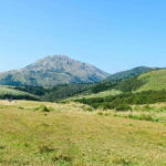 Taipei: Yangmingshan National Park Half-Day Tour - What to Expect on This Tour