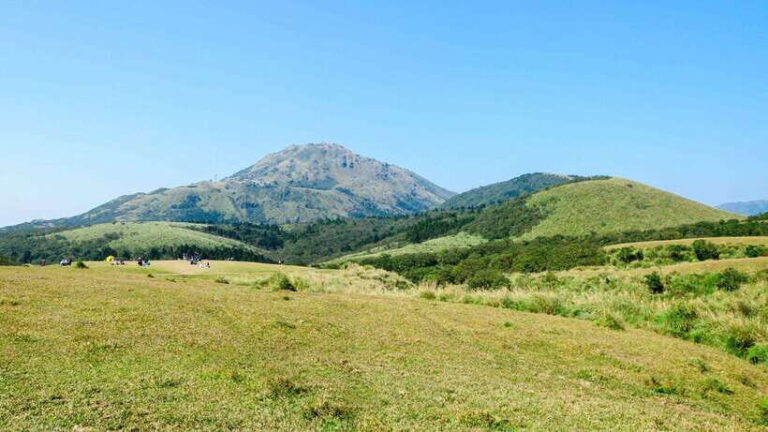 Taipei: Yangmingshan National Park Half-Day Tour - What to Expect on This Tour