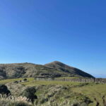 Taipei: Yanmingshan walking tour - Qingtiangang Grassland - Final Thoughts: Is It Worth It?