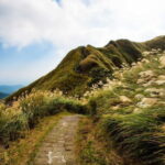 Taiwan TST : Private Tour Taipei, Yangmingshan, Beitou, Tamsui - Authentic Experiences and Review Highlights