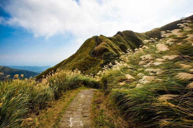 Taiwan TST : Private Tour Taipei, Yangmingshan, Beitou, Tamsui - Authentic Experiences and Review Highlights