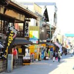 Takamatsu Half-Day Private Tour with Government-Licensed Guide - What to Expect: Practical Details