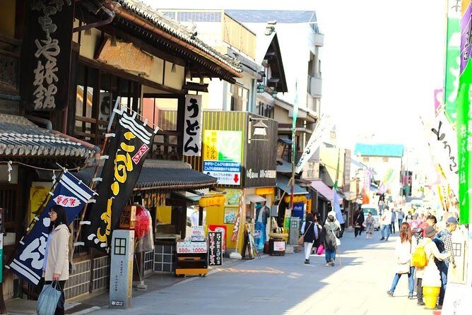 Takamatsu Half-Day Private Tour with Government-Licensed Guide - What to Expect: Practical Details