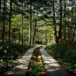 Takayama Autumn Private Tour Kamikochi & Shin-Hotaka Ropeway - The Sum Up