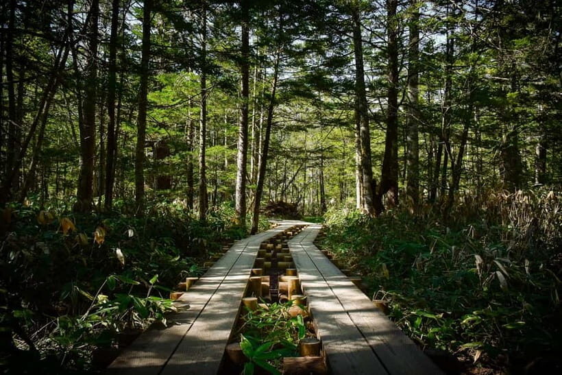 Takayama Autumn Private Tour Kamikochi & Shin-Hotaka Ropeway - The Sum Up