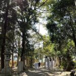 Take Shrine Activity with Lunch - Breakdown of the Itinerary