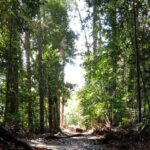 Taman Negara National Park Day Tour (SIC - Join In Tour) - Who Will Love This Tour?