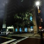 Tampa Terrors Ghost Tour By US Ghost Adventures - FAQs