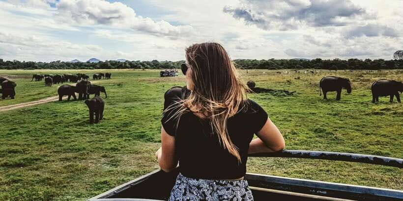 Tangalle/Hiriketiya: Udawalawa Safari & Elephant Orphanage - What You’ll See and Experience