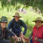 Taste and Tradition Acaxochitlán Culinary Tour from Mexico City - The Experience in Context: Value and Authenticity