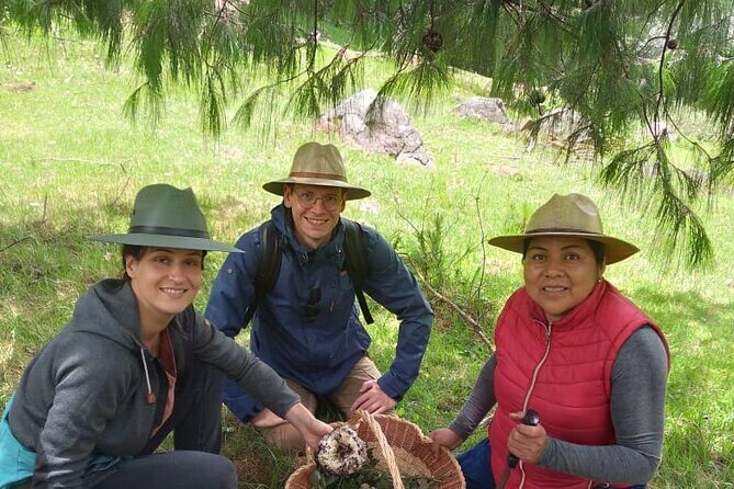 Taste and Tradition Acaxochitlán Culinary Tour from Mexico City - The Experience in Context: Value and Authenticity
