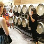 Taste of Fredericksburg Small-Group Wine Tour from San Antonio - What Makes This Tour Stand Out?