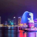 Tasty Vietnam Dinner on Bamboo Dragon Cruise/Yatch By Champa Show - Practical Tips for Enjoying the Cruise