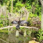 Tavares Half-Day Kayak Rental for Two on the Dora Canal - FAQ