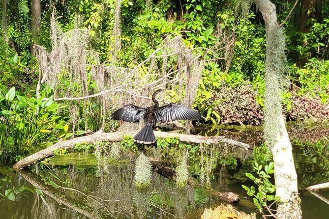 Tavares Half-Day Kayak Rental for Two on the Dora Canal - FAQ