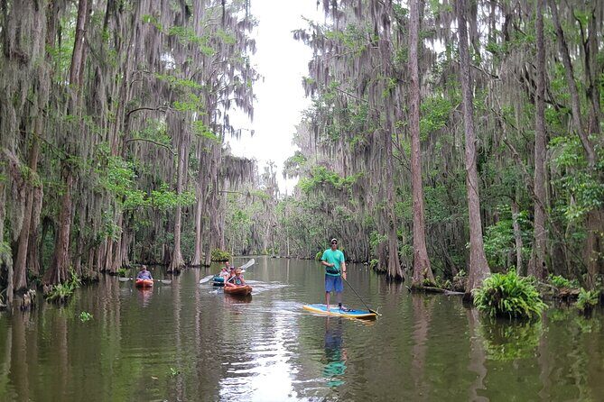 Tavares Poppy's Sweet Paddle Adventure with Ice Cream - Who Will Enjoy This Tour?