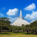 Taxi From Anuradhapura to Airport / Colombo (Private) - Who Will Love This Service?