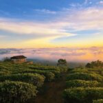 Tea & Coffee Tour - FAQ