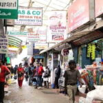 Tea plantation walk with Visit of Historical ,village & Market - Who Should Consider This Tour?