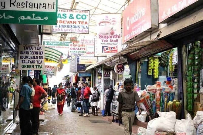 Tea plantation walk with Visit of Historical ,village & Market - Who Should Consider This Tour?