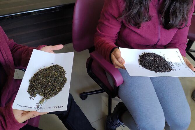 Tea Pluckers' Day - Who Will Love This Tour?