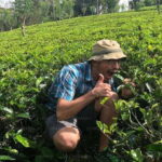 Tea Plucking and Tea Factory: Visit from Nuwara Eliya - Practical Details: What You Need to Know