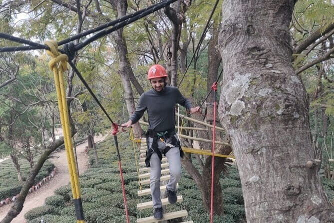 Tea Top Adventure Activities - A Deep Dive into the Tea Top Adventure Experience