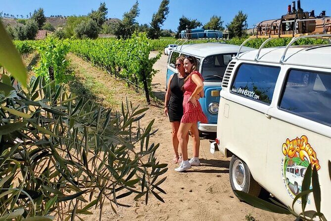 Temecula Wine Tour - The Ultimate California Experience - FAQ