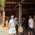 Tequila Tasting Tour in Nuevo Vallarta - FAQ