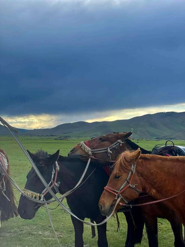 Terelj national park transport /Best price tour - Final Thoughts: Who Is This Tour Perfect For?