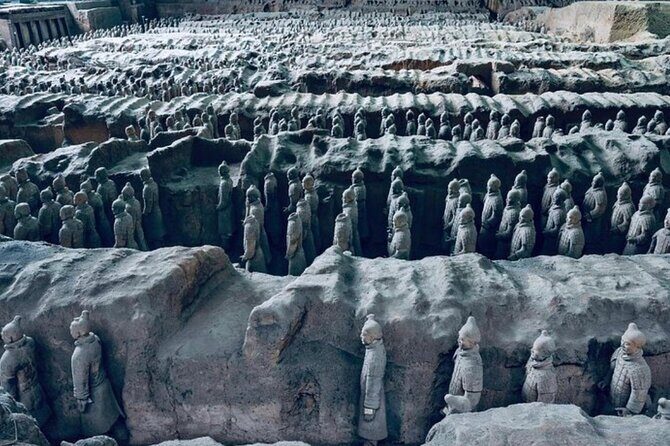 Terracotta Army Ticket - What to Expect at the Museum of Qin Terra-cotta Warriors and Horses