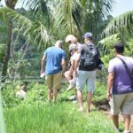 Tetebatu Walking Tour - Rice Terraces, Waterfall & Monkey Forest - Exploring Lombok’s Hidden Gems: The Complete Review