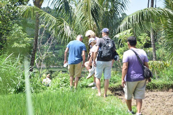 Tetebatu Walking Tour - Rice Terraces, Waterfall & Monkey Forest - Exploring Lombok’s Hidden Gems: The Complete Review