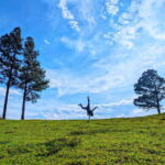 Thangappuwa Falls: Explore One of Knuckles 7 Cascades - What’s Included and What You Should Bring