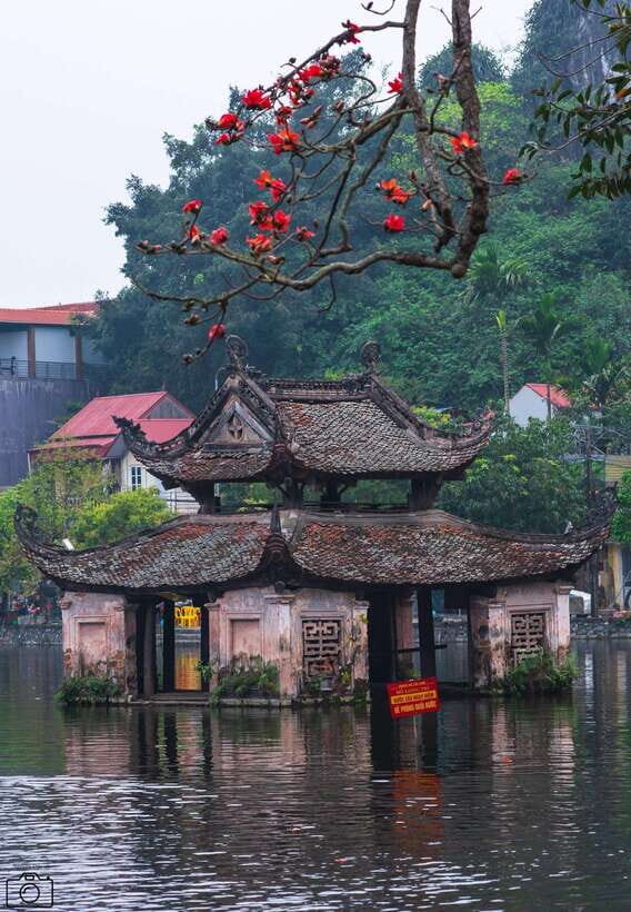 Thay Pagoda  Duong Lam Ancient Village 1 Day Private trip. - Why This Tour Offers Real Value