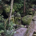 The Ancient Megaliths - An In-Depth Look at the Tour Experience