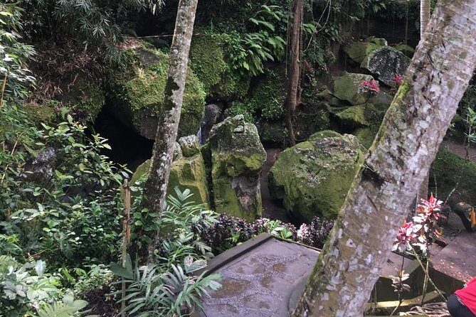 The Ancient Megaliths - An In-Depth Look at the Tour Experience