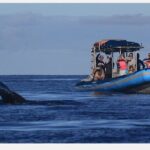 The Best 8 am 1.5 Hour Whale Watching Tour - Who Should Book This Tour?