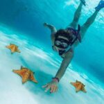 The Best Cozumel Snorkeling Tour Palancar, Colombia and El Cielo Reefs - FAQ