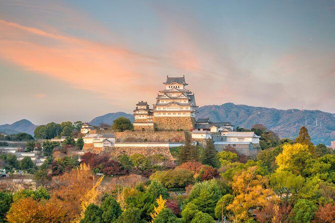 The Best of Himeji Walking Tour - Who Should Consider This Tour?