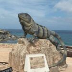 The Best of Isla Mujeres Private Walking Tour - Why This Tour Is a Fantastic Choice